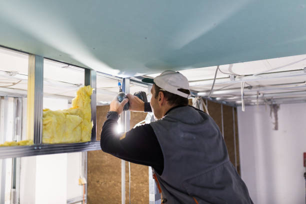 Insulation Repair Services in San Pablo, CA